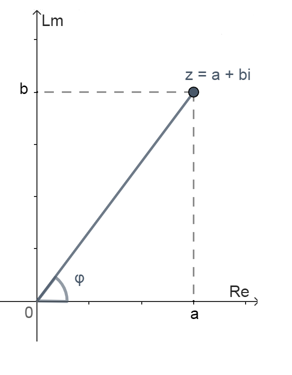 Геометрическое представление аргумента комплексного числа